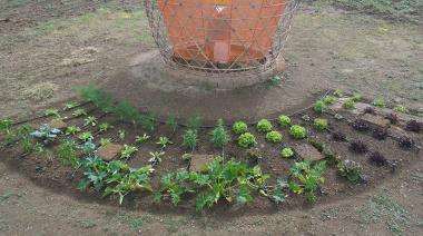 Arquitecto italiano inventa Warka Water, la torre de bambú que produce hasta 100 litros de agua al día recolectando agua de la lluvia, niebla y el rocío sin electricidad
