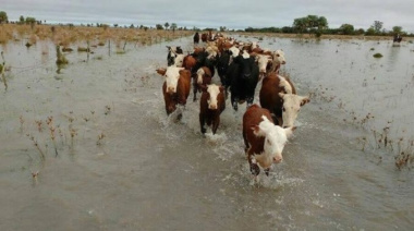 Inundaciones en la provincia: el campo en emergencia y reclamos por medidas urgentes