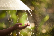 Tormentas y calor extremo en el NEA: cómo estará el clima este fin de semana